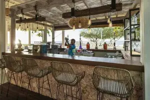 Bar drinks