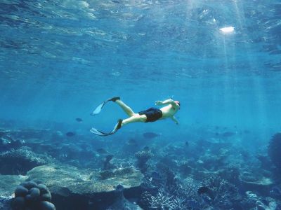 Snorkeling in Gili Trawangan Nork Lombok